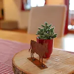 Antenbichllehen Appartement *