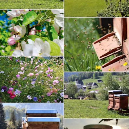 Lägenhet Antenbichllehen *