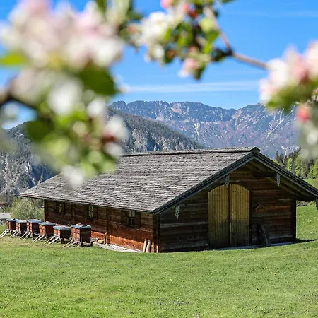 Lägenhet Antenbichllehen